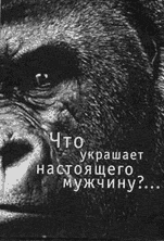 Реклама Сценик